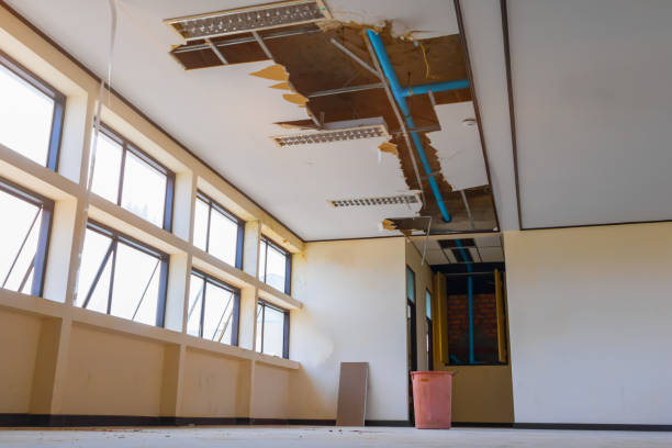 Best Local water damage restoration  in Olivehurst, CA