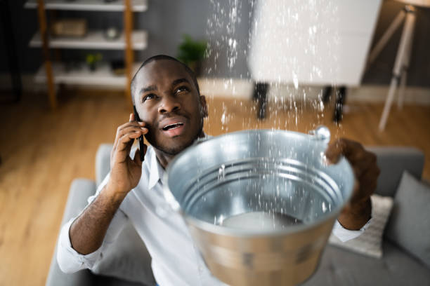 Best Professional water damage repair  in Olivehurst, CA