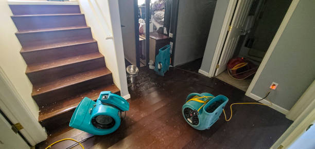 Best Flood damage cleanup  in Olivehurst, CA