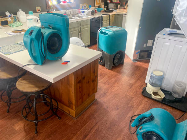 Best Water damage restoration near me  in Olivehurst, CA