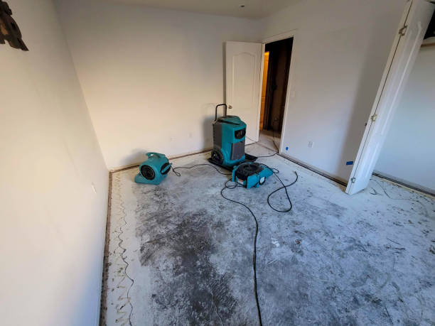 Best Fire Damage Restoration  in Olivehurst, CA