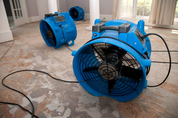  Olivehurst, CA Water damage restoration Pros