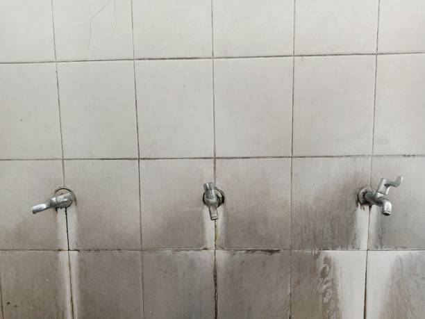 Best Water damage restoration insurance claims  in Olivehurst, CA